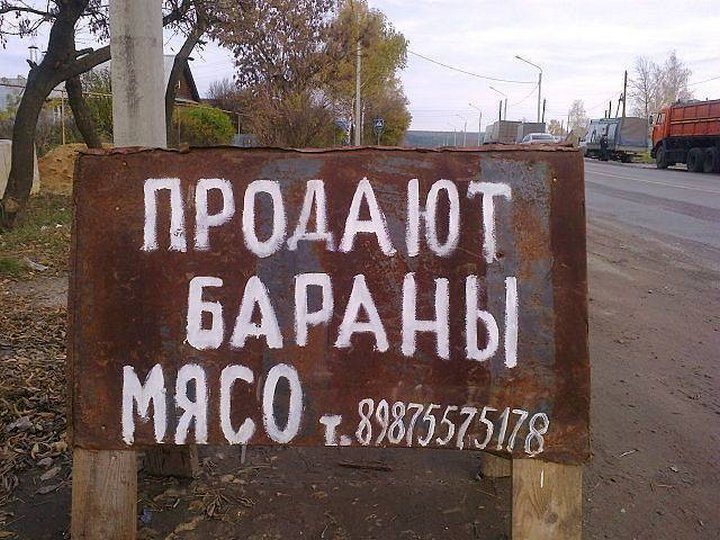 Про продажу. Продано фото надписи. Женский маразм. Прикольные надписи про мясо. Смешные бараны с надписями.