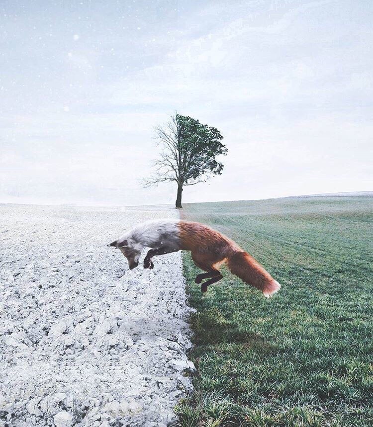 Классные, красивые и шикарные фотографии для настроения