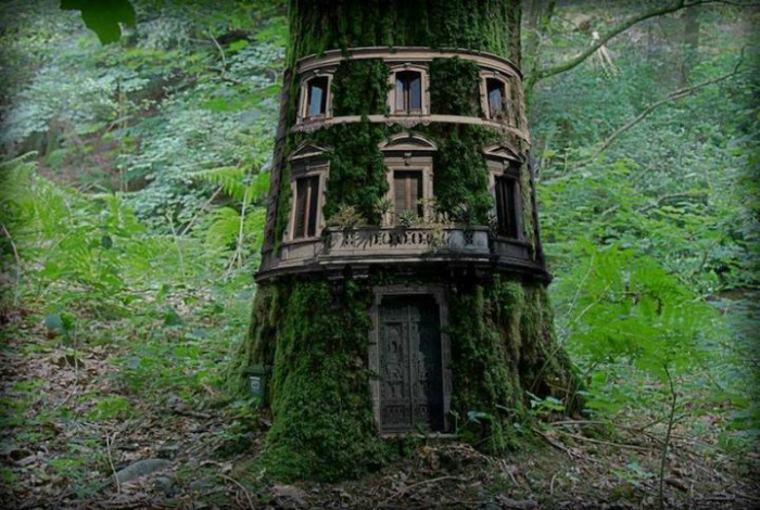 Потрясающий домик внутри большого дерева.