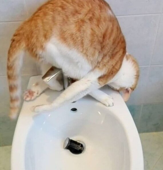 Да, удобно Да, удобно веселые картинки,фотоприколы