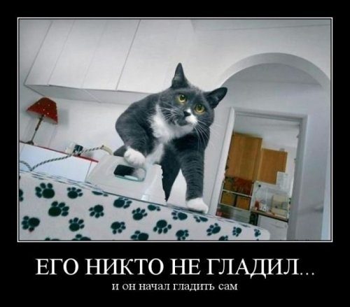 Юмор в чёрной рамке Юмор в чёрной рамке