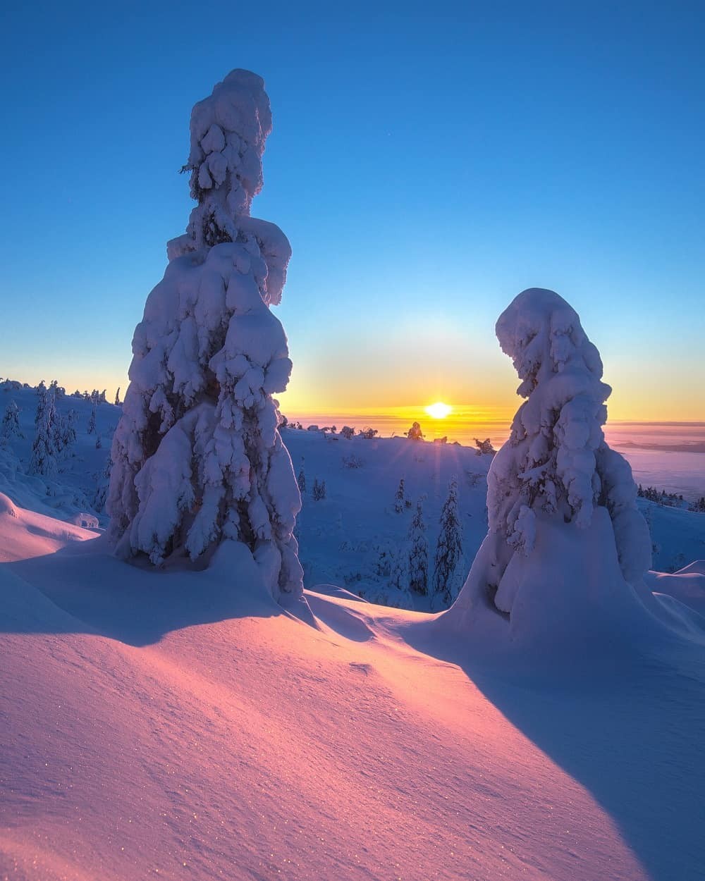 Сказки Севера: зимняя природа на снимках Андрея Базанова зима,пейзажи,тревел-фото