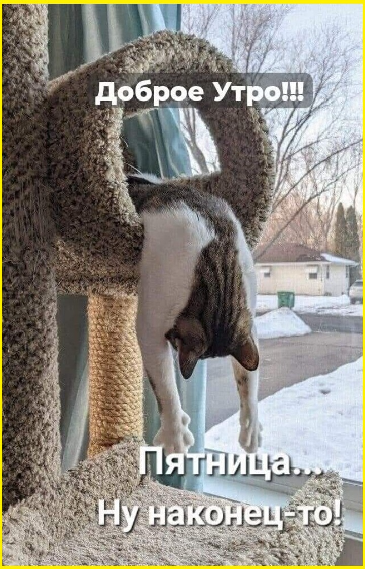 Анекдоты недели и здравоохранение Анекдоты недели и здравоохранение