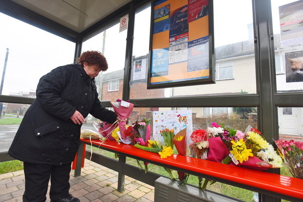 Люди создали из автобусной остановки мемориал кошке,которая была жестоко убита жестокое обращение, животные, кошки, память