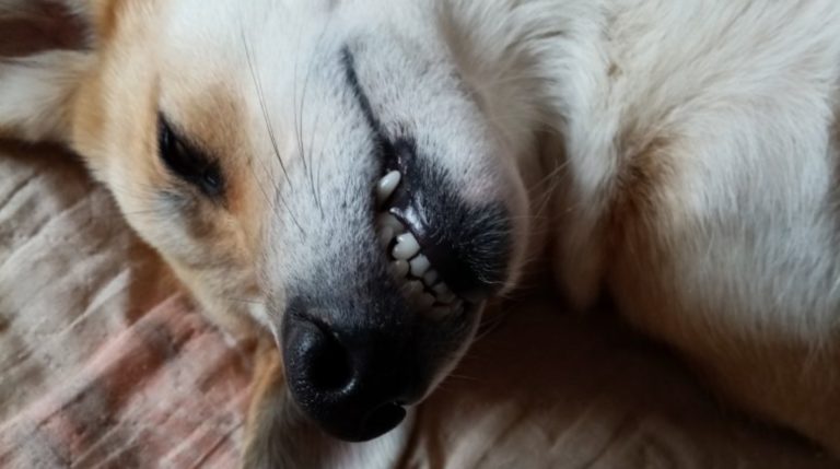 BeFunky-collage (31)