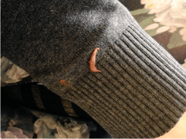 фото которые не поймут люди без детей