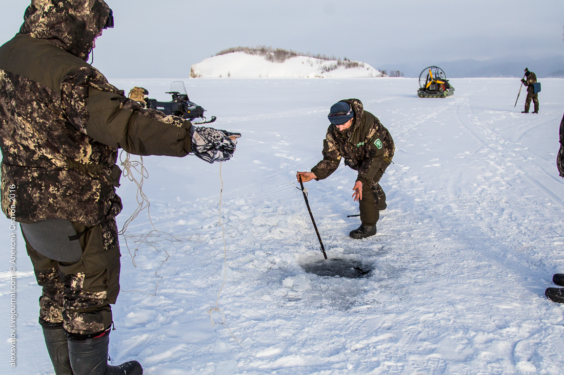 Как работают рыбинспекторы на Байкале
