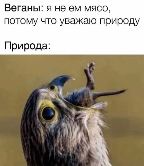 Позитив и хорошее настроение в забавных картинках и фотках! Позитив и хорошее настроение в забавных картинках и фотках!