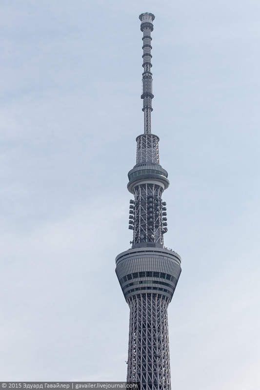 Самая высокая в мире телебашня и Токио