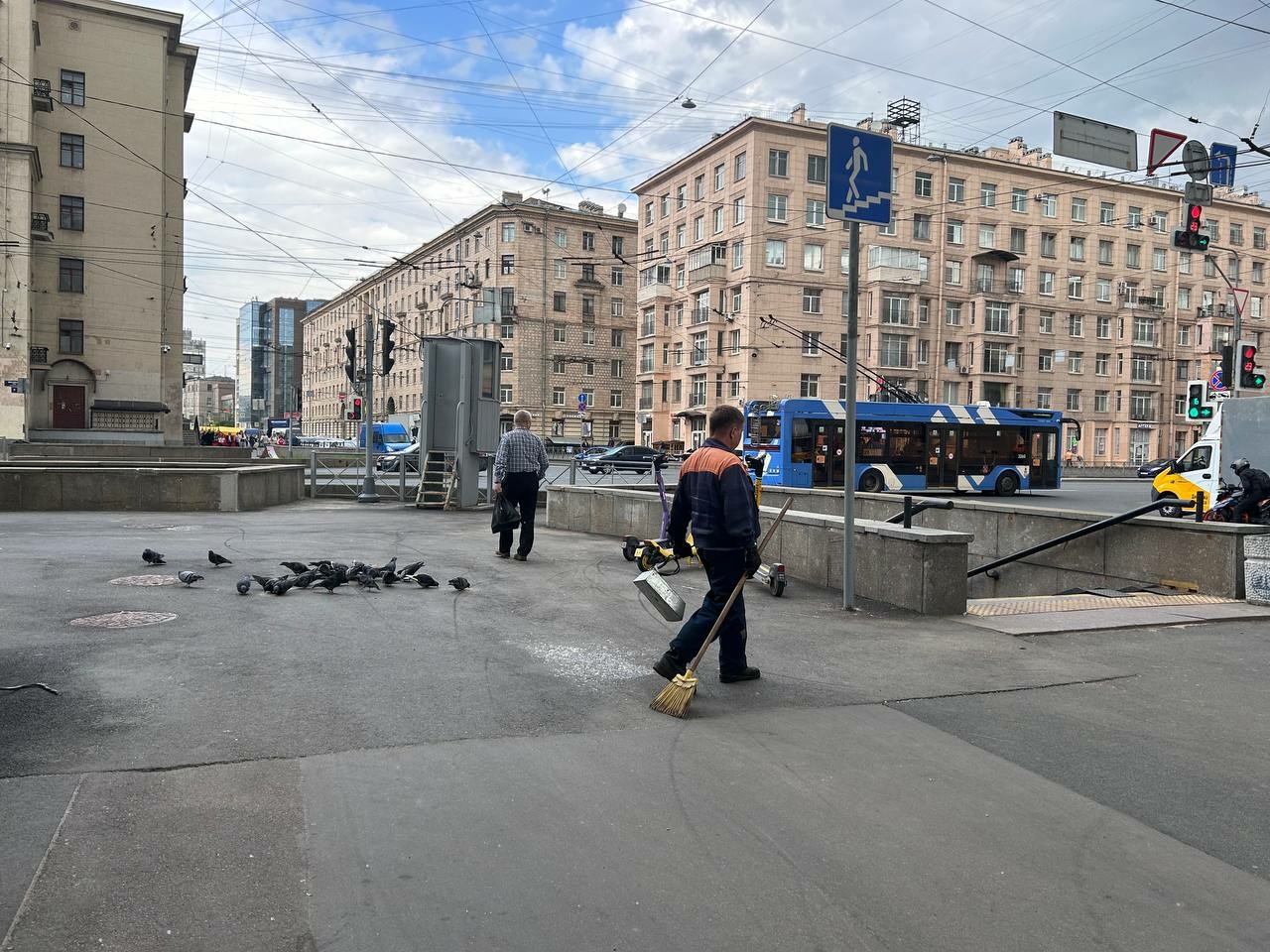 В Петербурге задержали напоившего и растлившего школьницу у нее же дома дворника