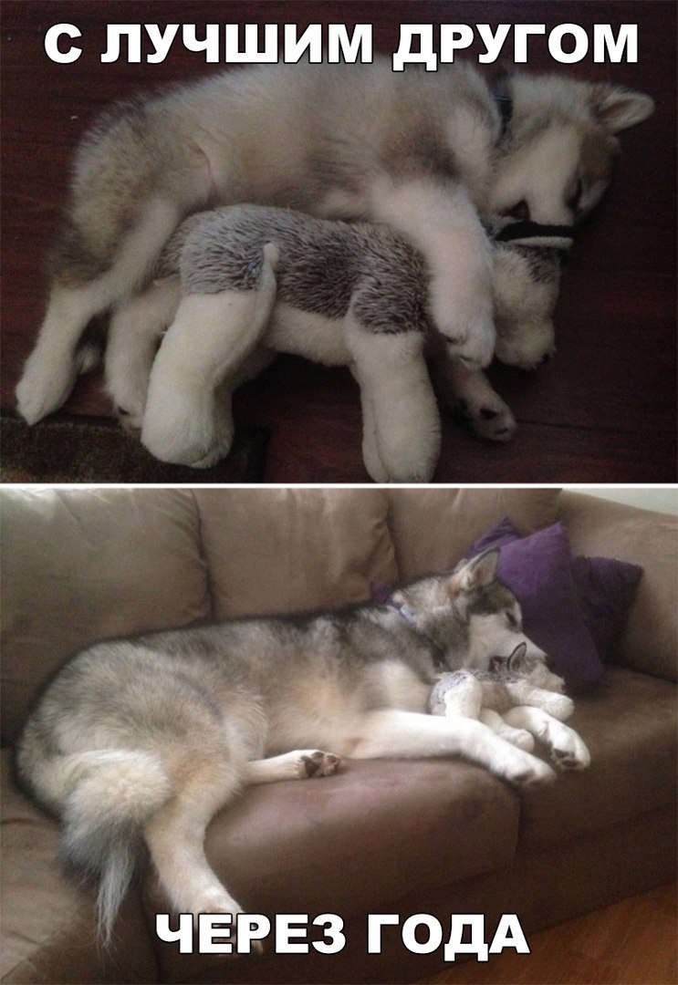 Прикольные фото и картинки с надписью для улыбки Прикольные фото и картинки с надписью для улыбки