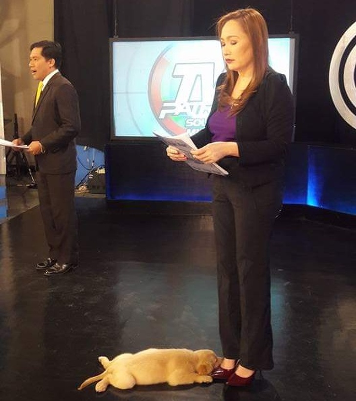 17 снимков, которые раскрасят даже самый хмурый день! 17 снимков, которые раскрасят даже самый хмурый день!