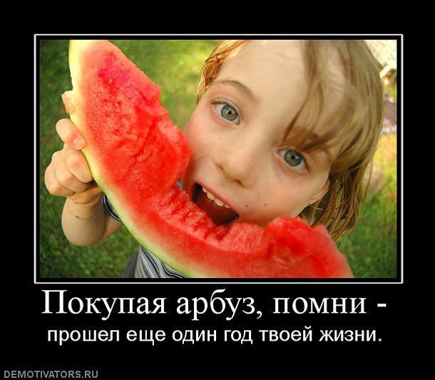 Подборка интересных и веселых демотивароров №20 Подборка интересных и веселых демотивароров №20 демотиваторы