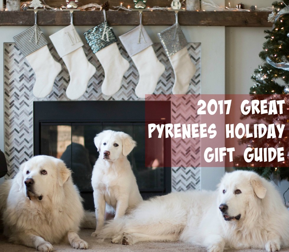 Still looking for a gift for your Great Pyrenees? Check out our 2017 Great Pyrenees holiday gift guide to find the perfect gift for your dog!