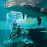 Экстремальный аттракцион Crocosaurus Cove в Австралии