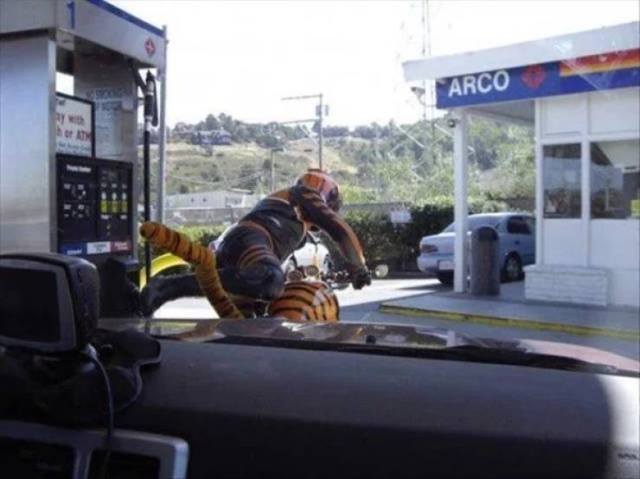 Тюнинг великий и ужасный Тюнинг великий и ужасный Обзоры