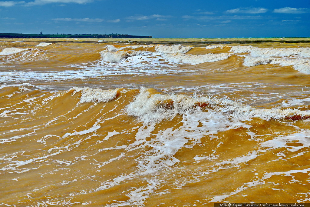 Почему желтое море получило такое название. Желтое море Китай. М желтая. Моти желтые. Черное море желтое.