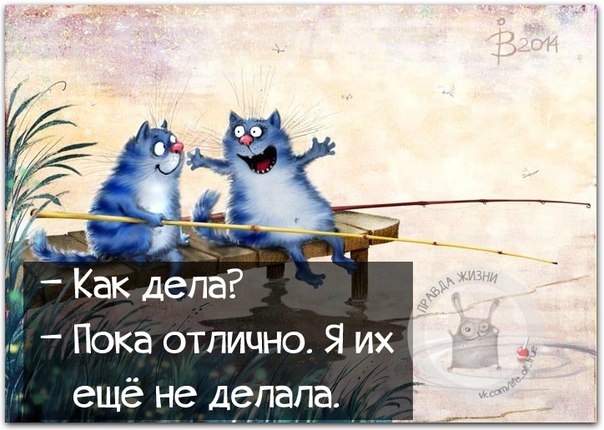 А я никогда в школе не дергал девочек за косички, потому что один раз в деревне я дернул за хвост коня анекдоты,веселые картинки,приколы,Хохмы-байки,юмор