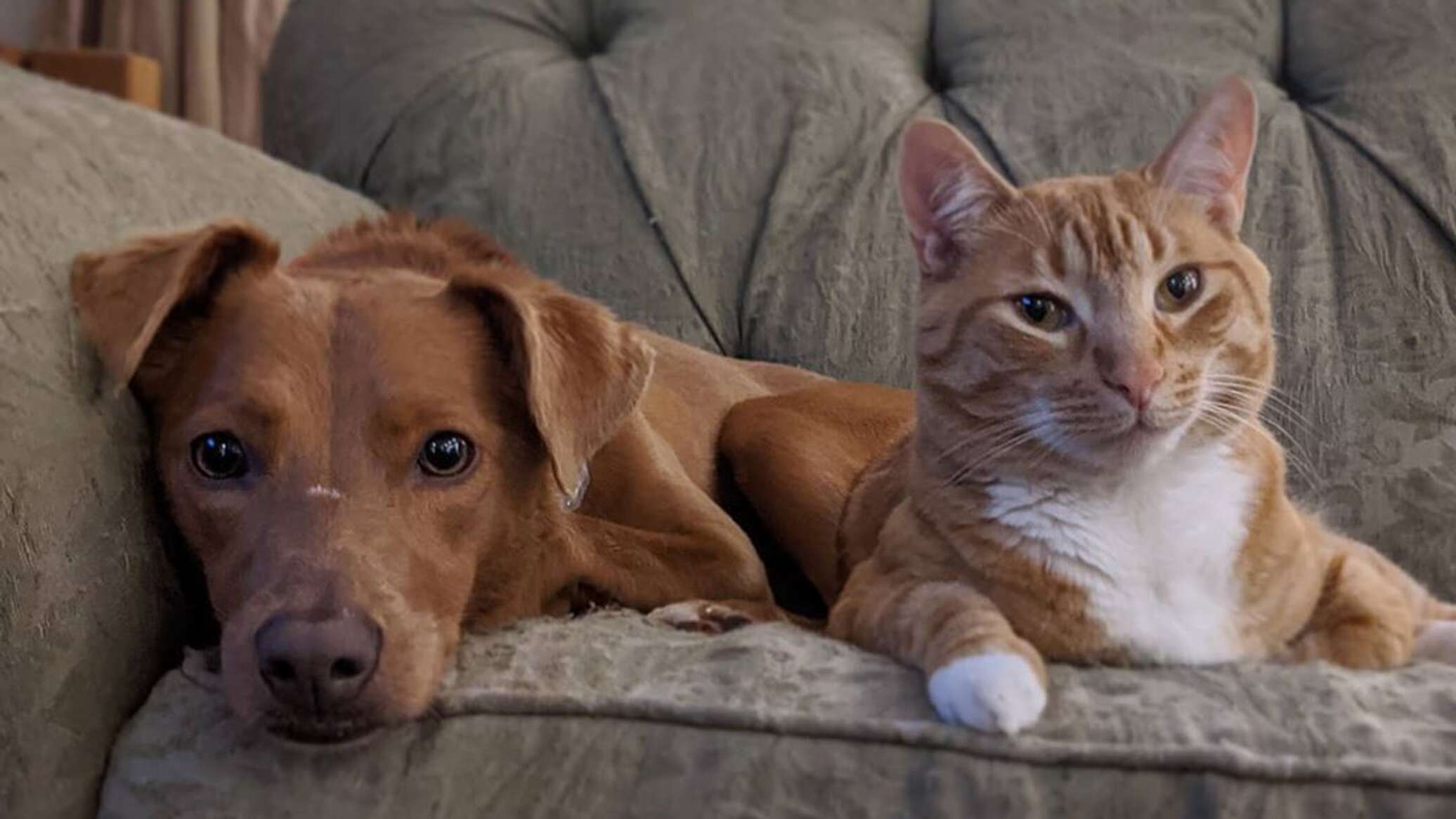 Поездка в Лондон. Окончание