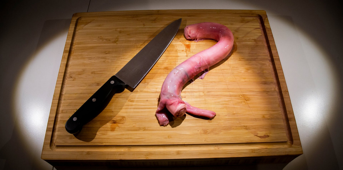 Музей отвратительной еды выставляет экзотические деликатесы Музей отвратительной еды выставляет экзотические деликатесы еда