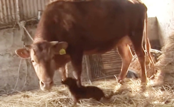 Разлука с подругой Разлука с подругой истории из жизни