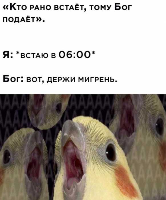 Позитив и хорошее настроение в забавных картинках и фотках! Позитив и хорошее настроение в забавных картинках и фотках!