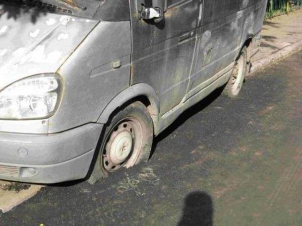 Подборка интересных и веселых картинок №45 Подборка интересных и веселых картинок №45 отдых