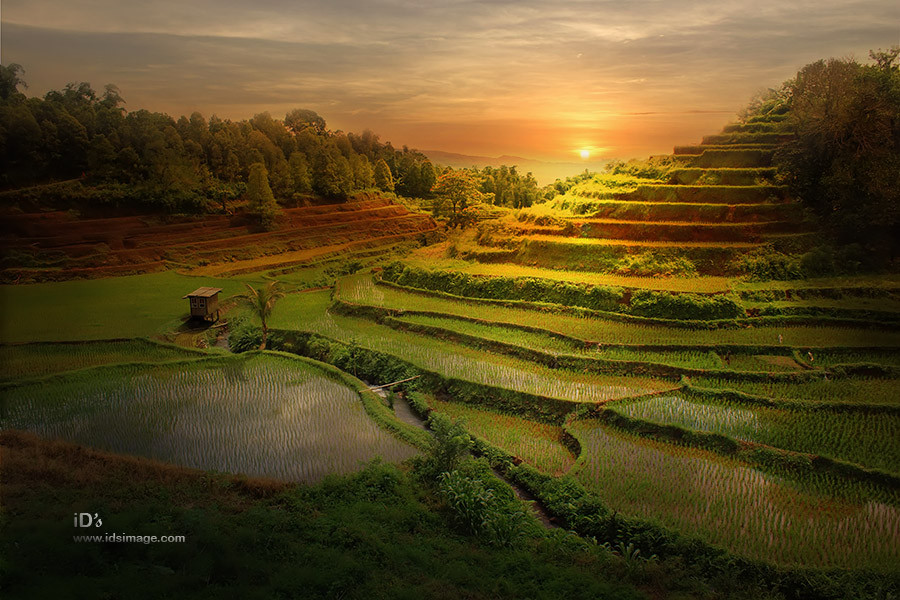 NewPix.ru - Сказочная природа Индонезии. Фотограф Idrus Arsyad