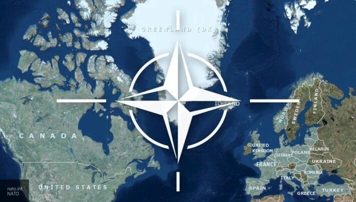 Раскол НАТО без денег США неизбежен: почему Трамп хочет распустить альянс