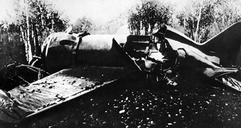 Считавшиеся соколами