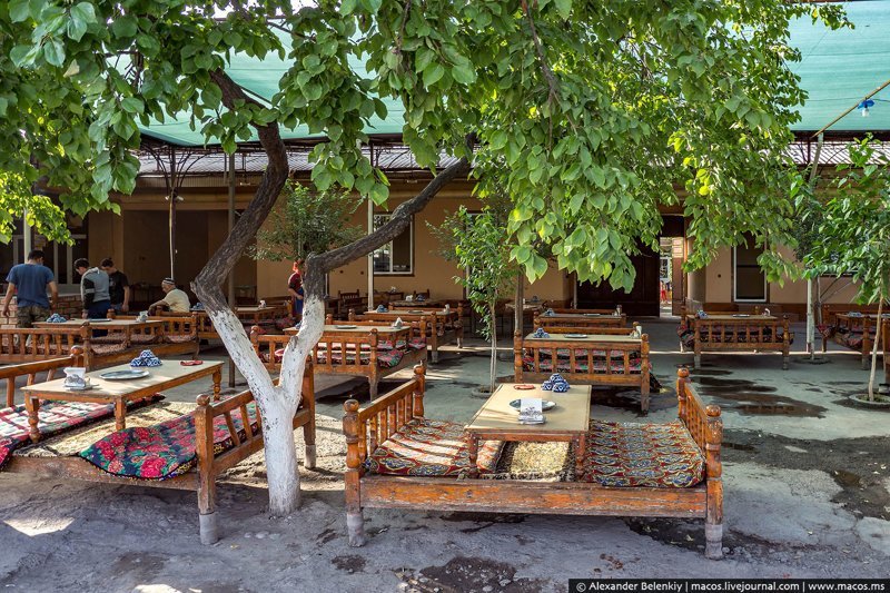  Узбекская классика: уличная чайхана, прямо на асфальте стоят столы-кровати, на топчанах нужно не сидеть, не лежать, а именно возлежать. еда, путешествия, своими руками, факты