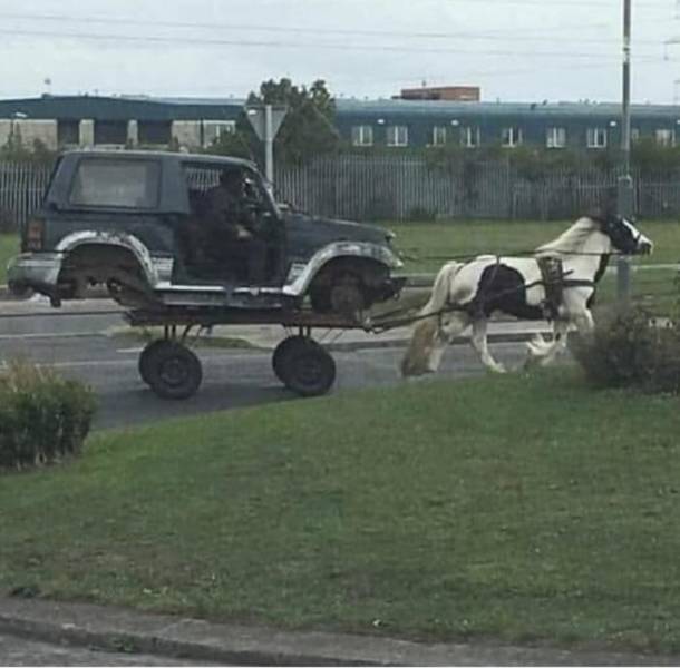 Подборка прикольных картинок Подборка прикольных картинок приколы,смешные картинки,юмор