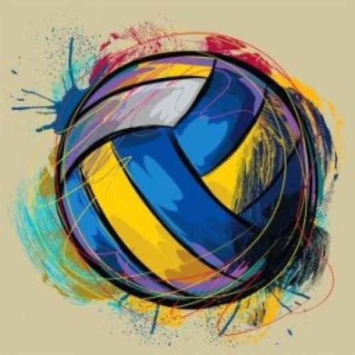 Интересные факты о волейболе 12