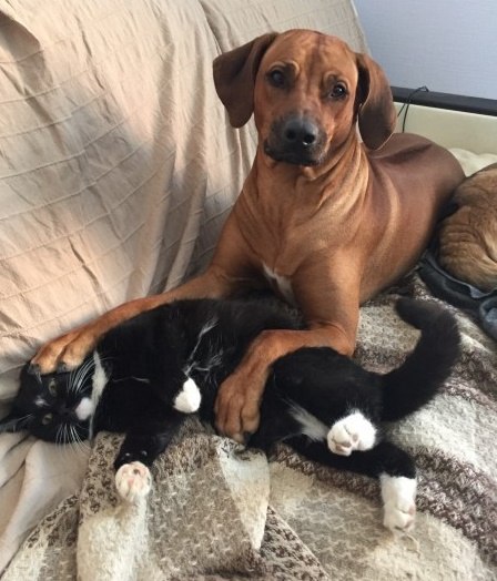 Солянка из классных фотографий и веселых картинок с надписью Солянка из классных фотографий и веселых картинок с надписью