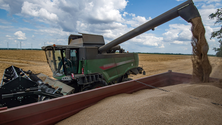 Женщинам разрешили убиваться по-новому: Минтруд реализует феминистские планы Собчак