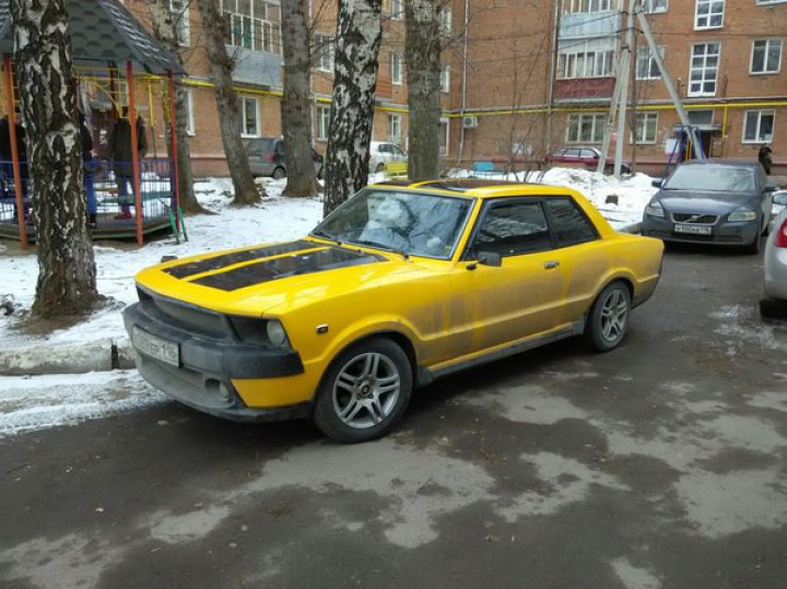 забавные фото про то что мечты сбываются 