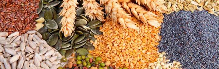 в какое время правильно есть продукты