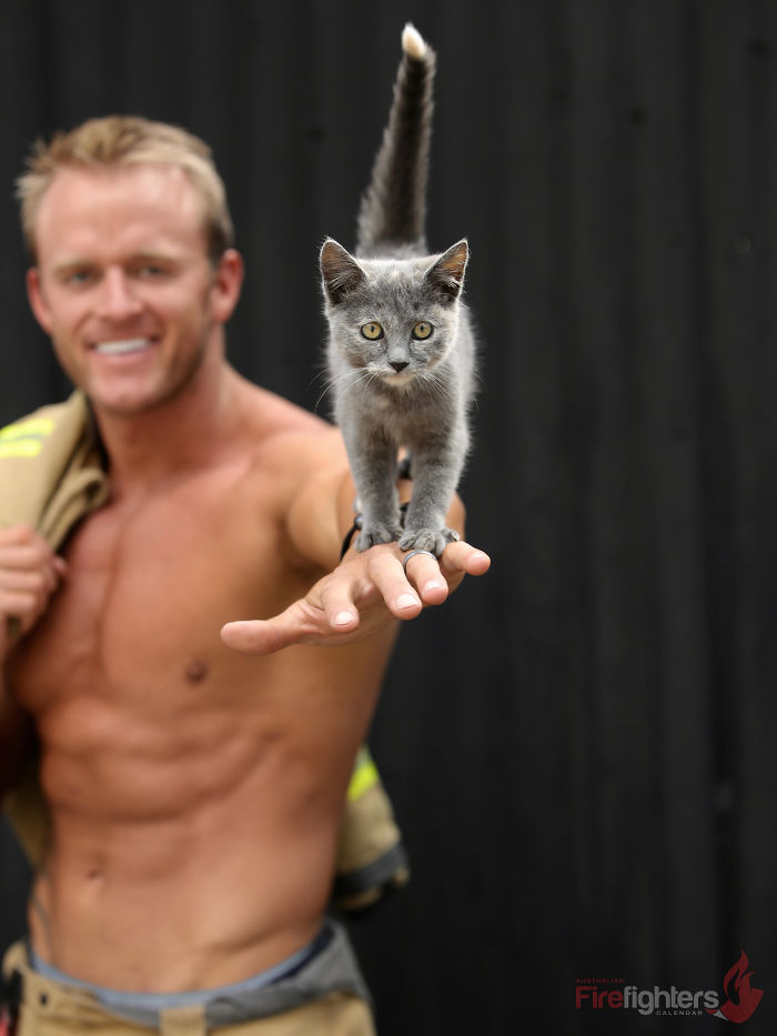 Австралийские пожарные снялись с животными для календаря животные, календарь