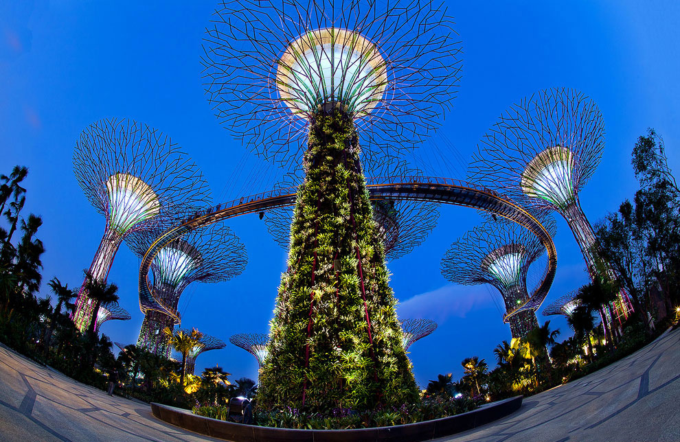 Gardens by the Bay: футуристические прибрежные сады в Сигнапуре