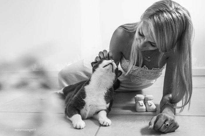 Счастливые кошки Счастливые кошки