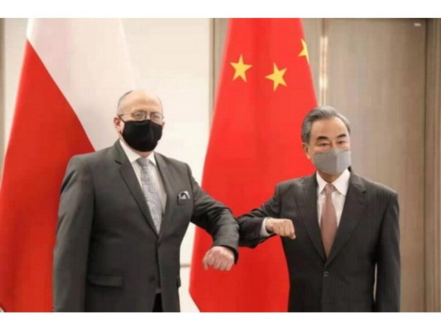 Литва и Украина – фальшивые друзья Польши геополитика