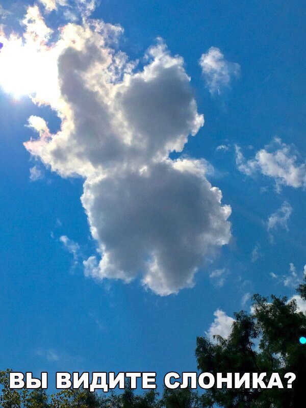 Подборка забавных и непонятных картинок с веселыми надписями 