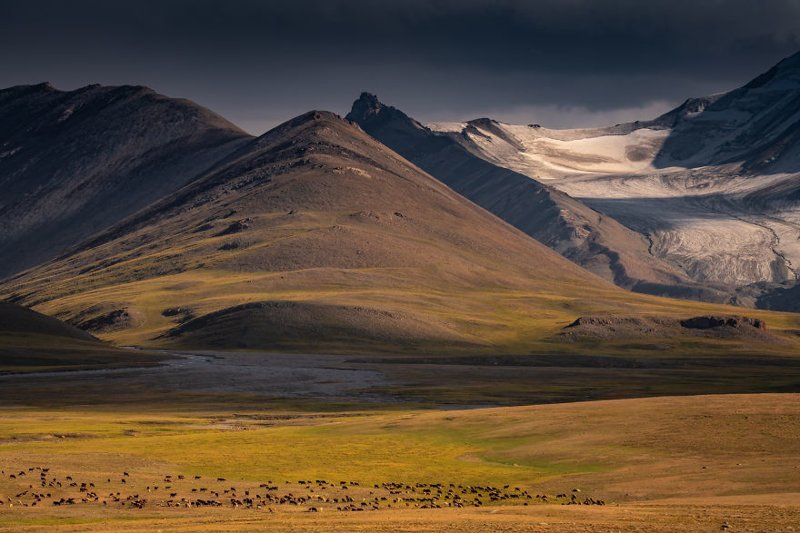 Стадо овец в долине, окруженной горами Кыргызстан, горы, киргизия, красивые места, ландшафтная фотография, ландшафты, пейзажи, пейзажи природы