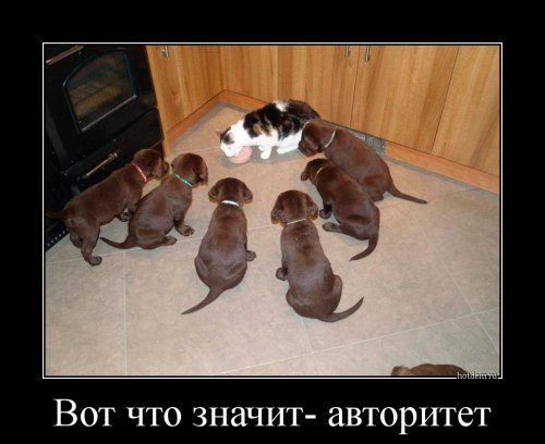 Юмор в чёрной рамке Юмор в чёрной рамке