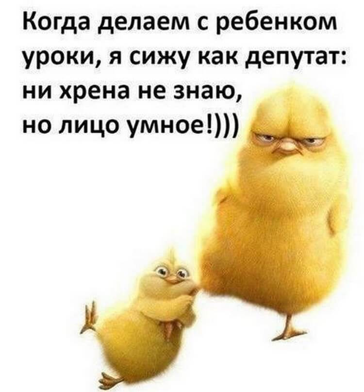 Картинки прикольные для настроения с надписями для ватсапа