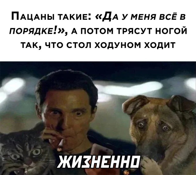 Подборка прикольных картинок Подборка прикольных картинок приколы,смешные картинки,юмор