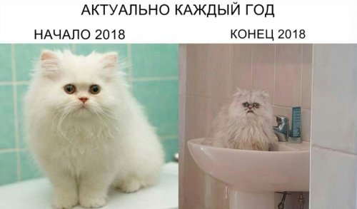 Прикольные картинки и различные фотоприколы 