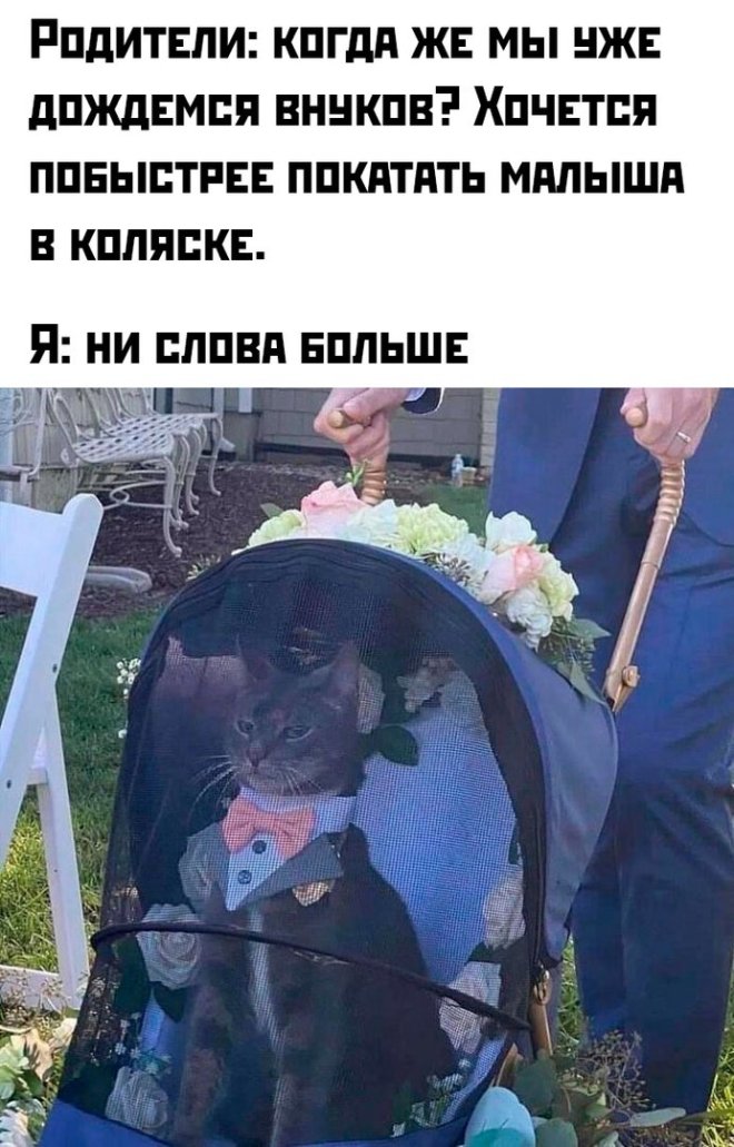 Лучшее средство от морщин — 6 литров пива на ночь Лучшее средство от морщин — 6 литров пива на ночь