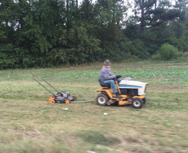 когда идиотизм граничит с гениальностью 