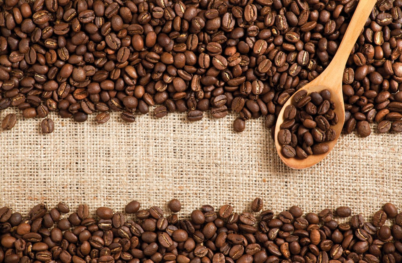 Завораживающий мир кофе: советы и удивительные факты